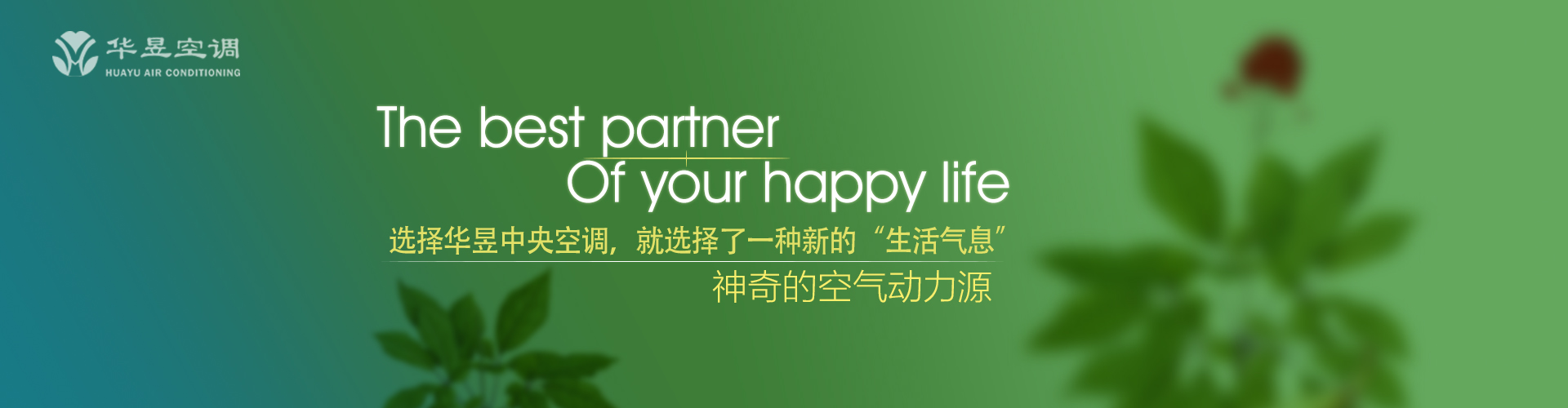 楚馆秦楼网